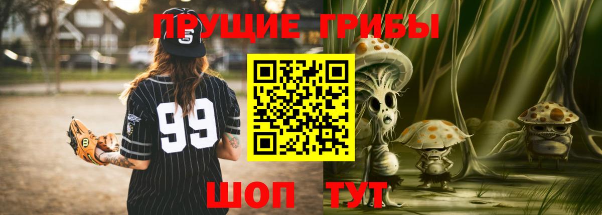 Курчатов  Псилоцибиновые грибы Psilocybe  Галлюциногенные грибы мицелий  Вход с VPN 